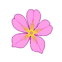 partic flower petal pink petal 056 v4 2026 03 30T00 37 17