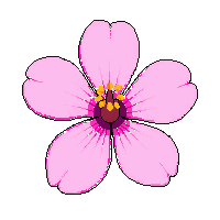 partic flower petal pink petal 146 v10 2026 03 30T00 37 17