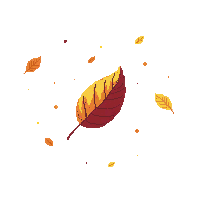 partic leaf falling autumn leaf 031 v3 2026 03 30T00 37 17