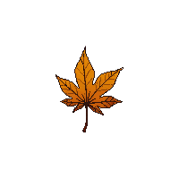 partic leaf falling autumn leaf 106 v8 2026 03 30T00 37 17