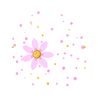 partic pollen particle flower dust 064 v5 2026 03 30T00 37 17