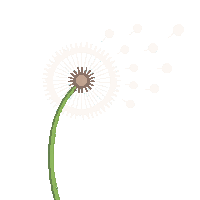 partic seed floating dandelion seed 042 v3 2026 03 30T00 37 17