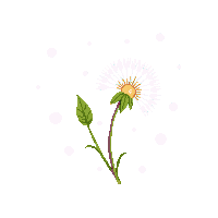 partic seed floating dandelion seed 057 v4 2026 03 30T00 37 17