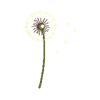 partic seed floating dandelion seed 102 v7 2026 03 30T00 37 17