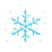 partic snowflake crystal ice particle 033 v3 2026 03 30T00 37 17