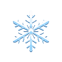 partic snowflake crystal ice particle 093 v7 2026 03 30T00 37 17