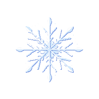 partic snowflake crystal ice particle 123 v9 2026 03 30T00 37 17