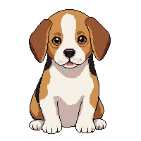 beagle dog sitting brown white floppy ears