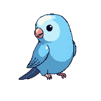blue parakeet perched small cute feathered