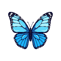 butterfly blue wings flying colorful delicate