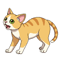 cat stretching arched back yawning orange