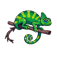 chameleon green colorful curled tail branch