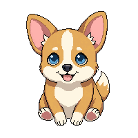 corgi dog sitting short legs big ears happy