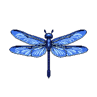dragonfly blue iridescent wings hovering delicate