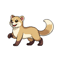 ferret long brown white playful curious sleek
