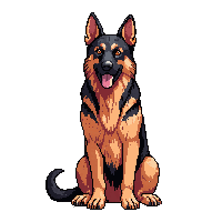 german shepherd dog sitting alert brown black