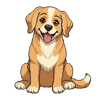 golden retriever dog sitting happy tongue out