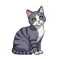 gray striped cat sitting calm green eyes