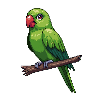 green parrot perched colorful tropical beak