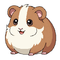 guinea pig brown white fluffy round cute