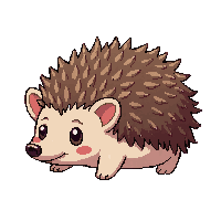 hedgehog small brown spines round curled cute
