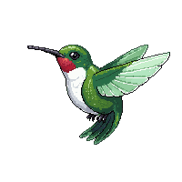 hummingbird hovering tiny iridescent green fast