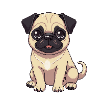 pug dog sitting wrinkly face curly tail cute
