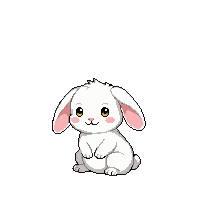 rabbit white floppy ears sitting fluffy cute