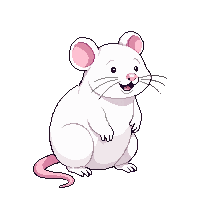 rat white smart sitting pink tail friendly