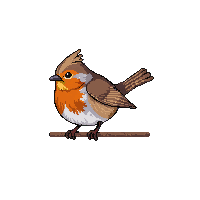 robin perched red breast brown small