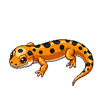 salamander orange black spotted small cute