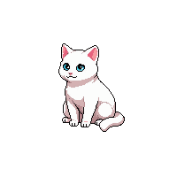 white cat sitting fluffy blue eyes pretty