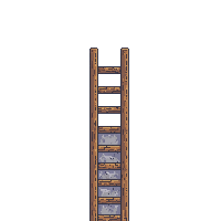 platformer ladder wooden climbing tall