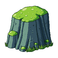 medium green rock mossy covered damp natural