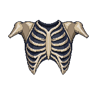 rpg bone armor chest skeletal 216 v5 2026 03 03T17 02 45