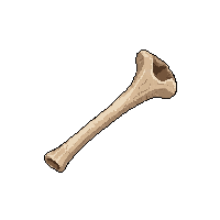 rpg bone animal bone crafting 017 2026 03 03T17 02 45