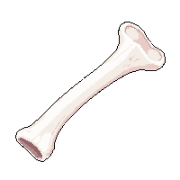 rpg bone animal bone crafting 117 v3 2026 03 03T17 02 45