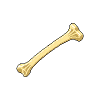 rpg bone animal bone crafting 217 v5 2026 03 03T17 02 45