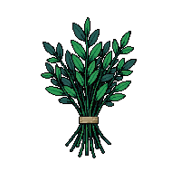 rpg herb bundle dried green 019 2026 03 03T17 02 45