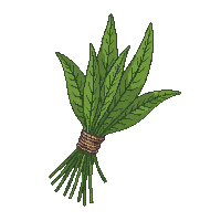 rpg herb bundle dried green 219 v5 2026 03 03T17 02 45