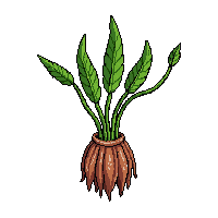 rpg mandrake root magical plant 049 2026 03 03T17 02 45