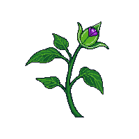rpg nightshade poisonous plant crafting 050 2026 03 03T17 02 45
