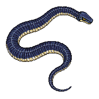 rpg snake skin scaled reptile 040 2026 03 03T17 02 45