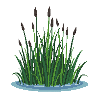 rpg cattails swamp water plants 083 v2 2026 03 03T17 02 45