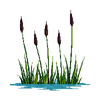 rpg cattails swamp water plants 133 v3 2026 03 03T17 02 45