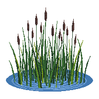 rpg cattails swamp water plants 183 v4 2026 03 03T17 02 45