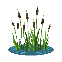 rpg cattails swamp water plants 233 v5 2026 03 03T17 02 45