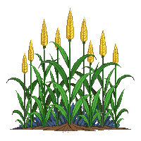 rpg corn stalks tall crop 035 2026 03 03T17 02 45