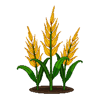 rpg corn stalks tall crop 085 v2 2026 03 03T17 02 45