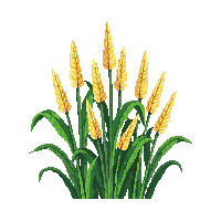 rpg corn stalks tall crop 135 v3 2026 03 03T17 02 45